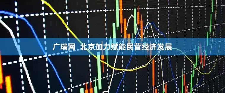 广瑞网  北京加力赋能民营经济发展