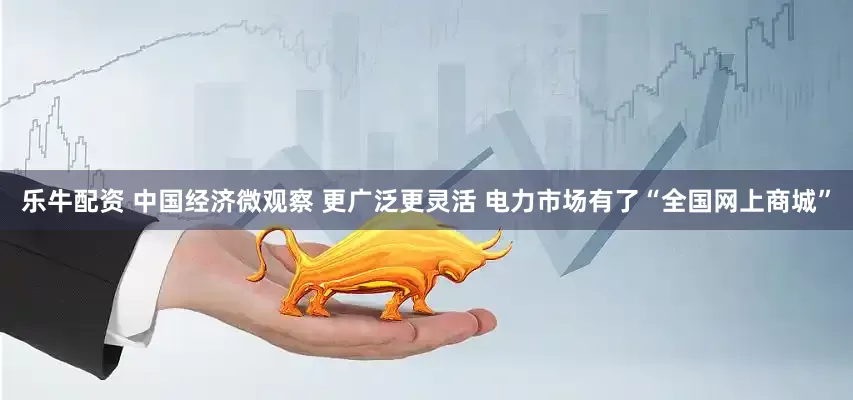 乐牛配资 中国经济微观察 更广泛更灵活 电力市场有了“全国网上商城”