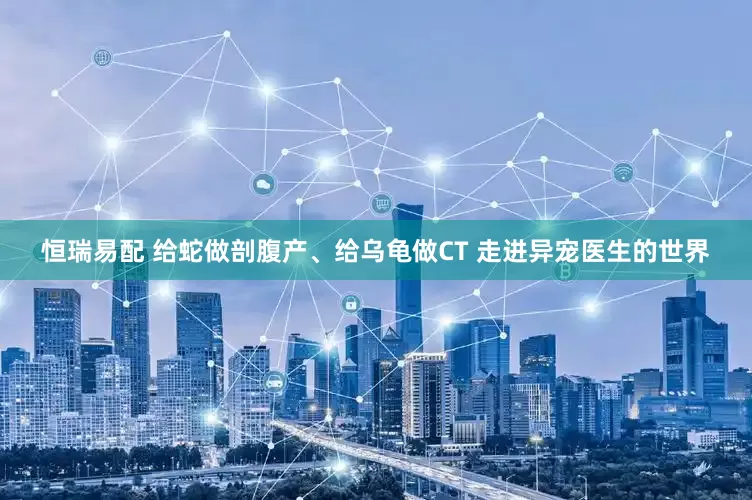恒瑞易配 给蛇做剖腹产、给乌龟做CT 走进异宠医生的世界