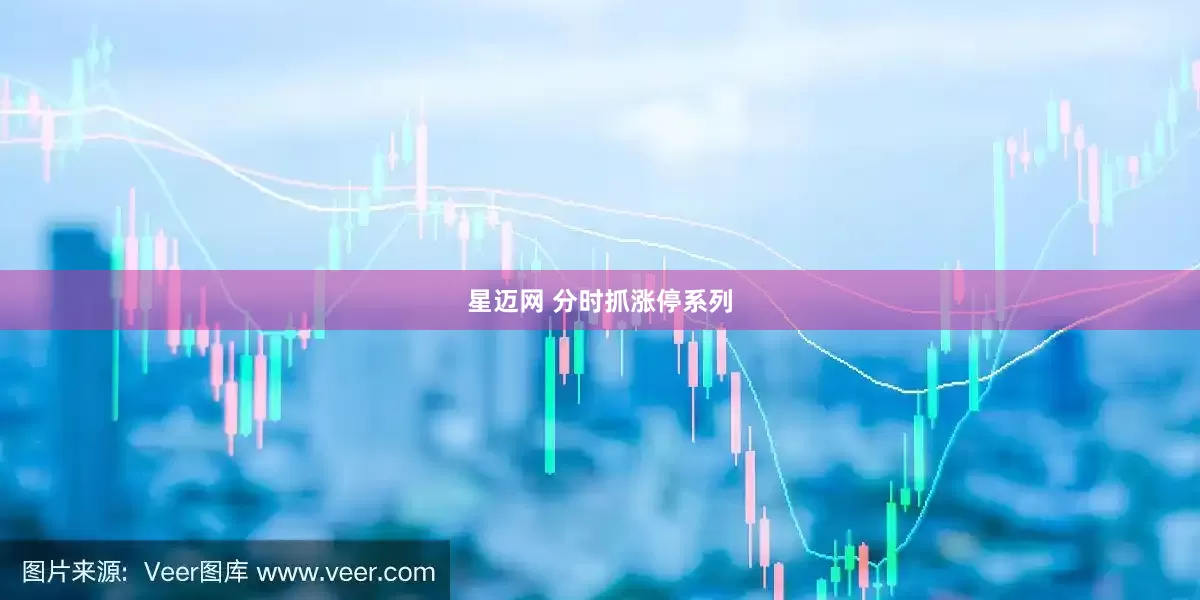 星迈网 分时抓涨停系列